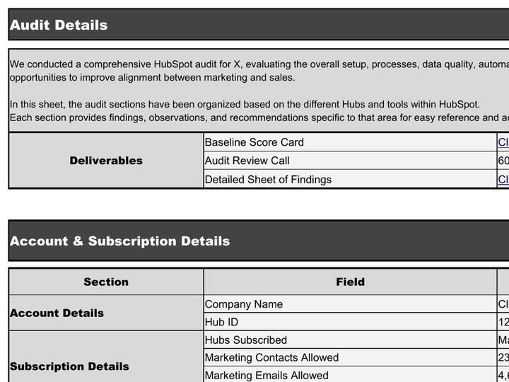 Audit Details sheet preview